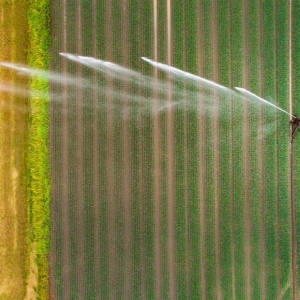 Grundwasser digital überwachen und bedarfsgerecht steuern