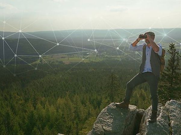 Person steht auf einem Felsen und blickt mit Fernglas über eine vernetzt dargestellte Landschaft.