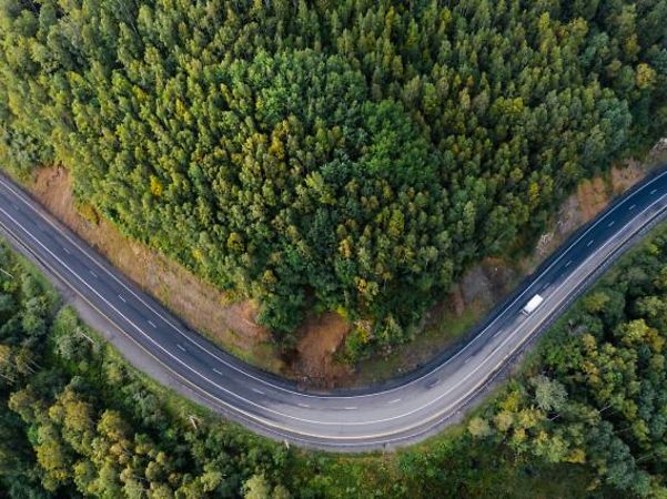Ein nachhaltig bewirtschafteter, gesunder Wald, durch den eine Straße führt.