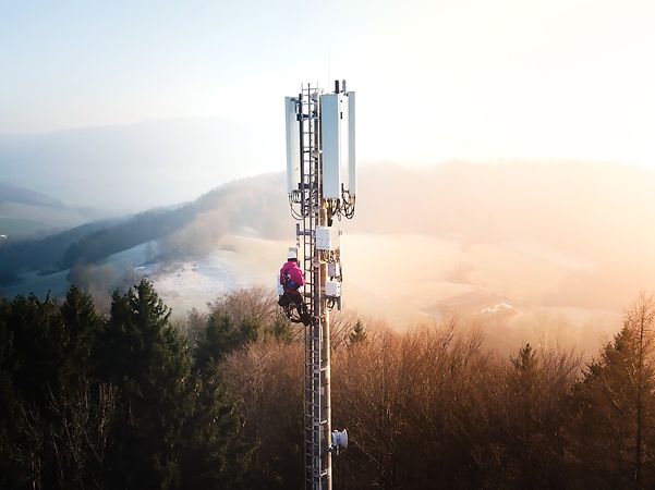 A technician is working on a mobile phone mast in a wooded, hilly landscape