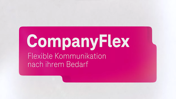 Teaserbild von CompanyFlex-Video.