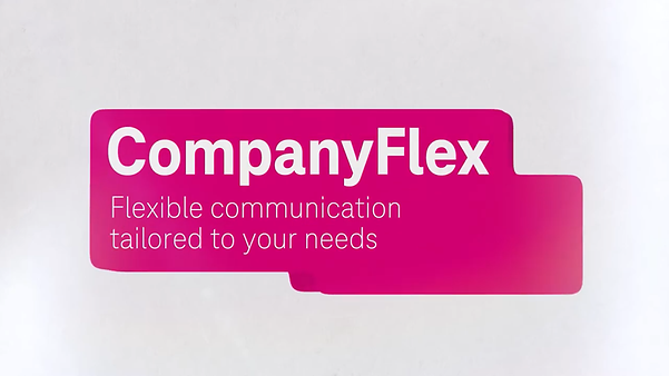 Teaser image from CompanyFlex Video.